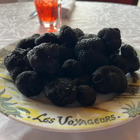 Logis Hotel-restaurant Les Voyageurs 3*