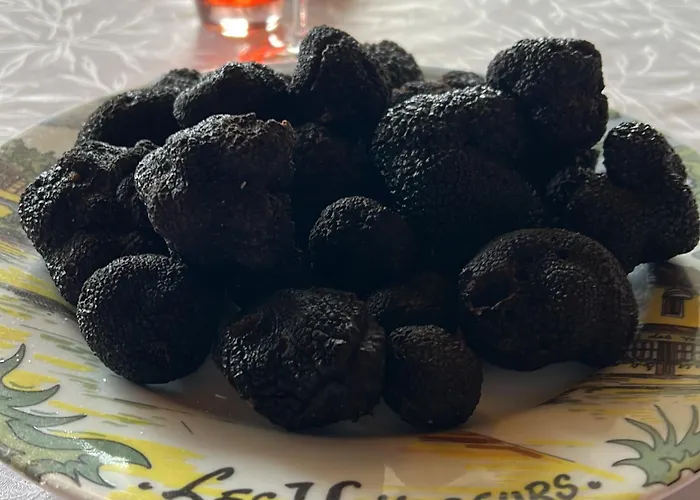 Logis Hotel-restaurant Les Voyageurs 3*